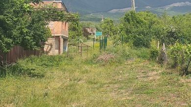 Bölünme hattında iki Gürcistan vatandaşı gözaltına alındı