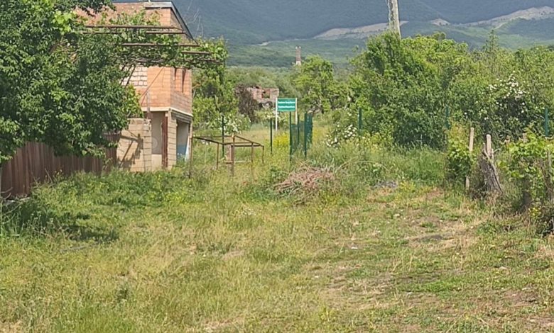 Bölünme hattında iki Gürcistan vatandaşı gözaltına alındı