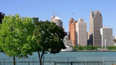 Detroit'te bir sinagogun mütevelli heyeti başkanı öldürüldü.