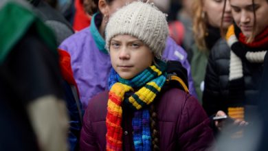 Eğitim Bakanlığı, Greta Thunberg'i Hamas desteği müfredatından çıkardı - İsrail Haberleri