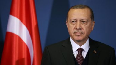 Erdoğan, Brezilya Cumhurbaşkanı ile İsrail-Filistin çatışmasını görüştü