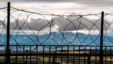 Sinaguri köyündeki bölünme hattının yakınında bir Gürcü vatandaşı gözaltına alındı