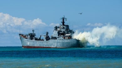 В 4 км от Анаклии ведется подготовка к развертыванию базы ВМФ РФ — DRI