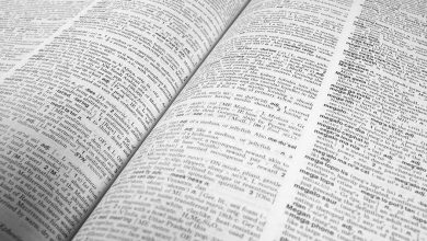 Cambridge Dictionary yılın kelimesini seçti