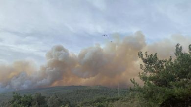 Çanakkale'de çıkan orman yangını nedeniyle köy boşaltıldı