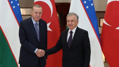 Erdoğan, Taşkent'te Şevket Mirziyoyev ile görüştü