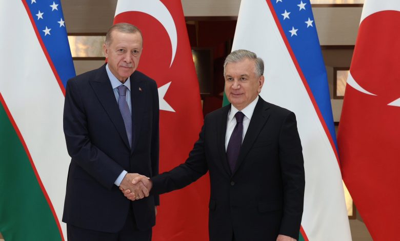 Erdoğan, Taşkent'te Şevket Mirziyoyev ile görüştü