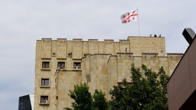 Gürcistan'daki ünlü bir hayvan hakları aktivistinin oğlu suçlandı