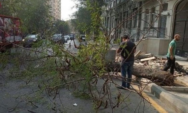 Bakü'de rüzgar ortalığı kasıp kavurdu: 27 ağaç devrildi, 3 kişi yaralandı