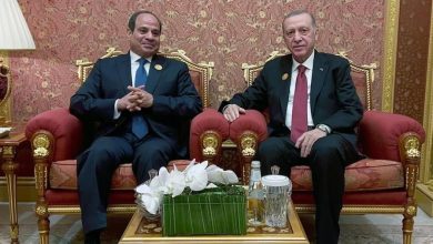 Erdoğan, Abdülfettah El Sisi ile Gazze'ye insani yardım konusunu görüştü