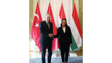 Erdoğan, Macaristan Cumhurbaşkanı ile görüştü