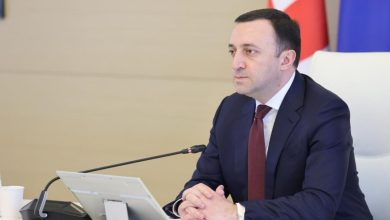 Garibashvili statü vermeden önce AB ülkelerinin liderlerine seslendi