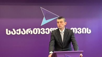 “Gürcistan İçin” Partisi Lideri - Bidzine Ivanishvili: meydan okuma kabul edildi