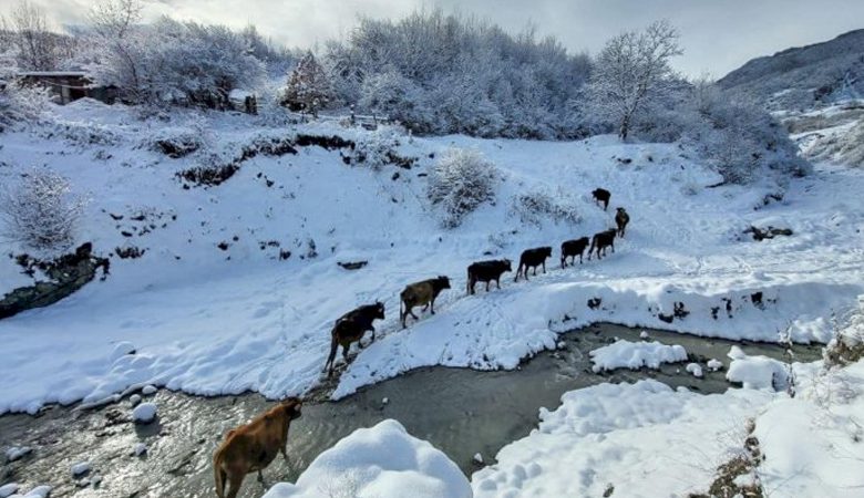 İcra başkanı ilginç fotoğraflar paylaştı (FOTOĞRAFLAR)