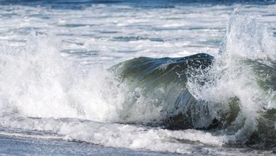 Japonya'da tsunami tehlikesi açıklandı