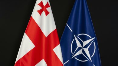 NATO Genel Sekreter Yardımcısı Gürcistan Başkanı ile görüşecek