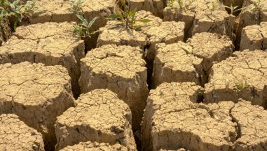 Özbekistan su tasarrufu için acil durum moduna geçecek