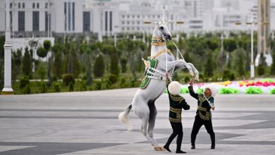 Tacik dokuma sanatı ve Türkmenlerin Akhal-Teke atı yetiştirme gelenekleri UNESCO Kültür Mirası Listesi'ne alındı