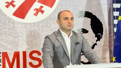 Ulusal Hareket Başkanı: Ivanishvili başarısızlıktan sonra delikten sürünerek çıktı