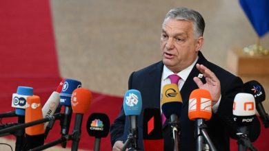 Viktor Orban: "Gürcistan'da her şey yolunda, herkes seni seviyor"