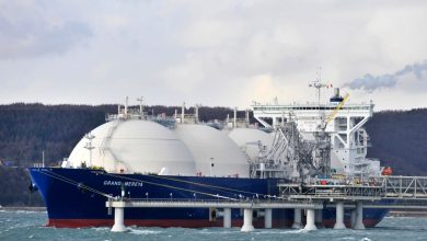 Finlandiya, Rusya'dan LNG ithalatını yasaklamayı planlıyor