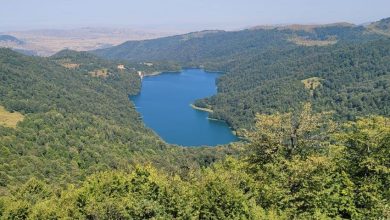 Geçen yıl milli parkları kaç turist ziyaret etti?