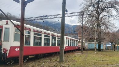 Henüz Borjomi'de guguklu treni başlatma planı yok