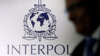 Rusya Interpol'den çekilebilir