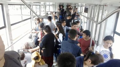 Taşkent'te tekerlekli tramvayların tanıtılması önerildi