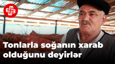 Çiftçiler tonlarca soğanın bozulduğunu söylüyor