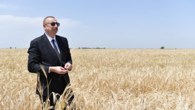 "Ekselanslarının desteği."  Azerbaycan'da adaylar İlham Aliyev'i övüyor