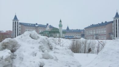 Kaynak: Navalny'nin vücudunda nöbetlerden kaynaklanan morluklar bulundu