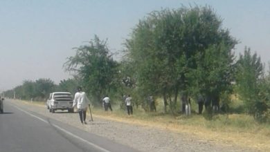 Özbekistan'da yasa öğretmenlerin zorla çalıştırılmasını yasaklıyor