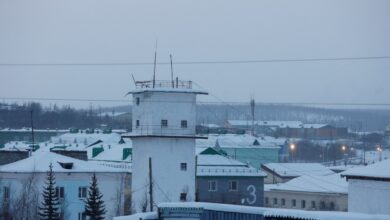 Sistema, Navalny kolonisindeki tıbbi bakımın durumunu inceledi