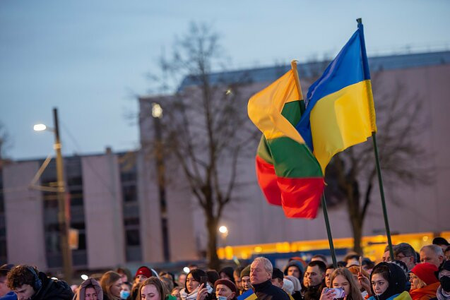 Ukrayna, Litvanya'dan askeri yardım paketi aldı