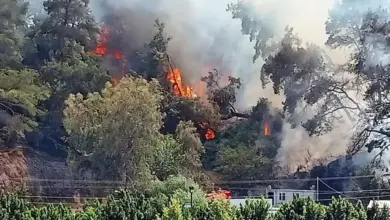 Antalya'daki orman yangını kontrol altına alındı ​​- GÜNCELLEME