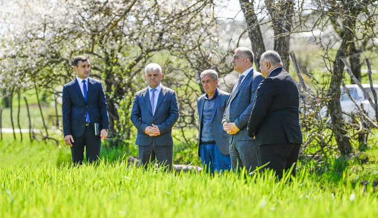 Elçin Zeynalov Lerik'te vatandaşları kabul ederek çiftlikleri ziyaret etti (FOTOĞRAF)