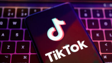 Ermenistan'da "TikTok"un yasaklanması önerildi