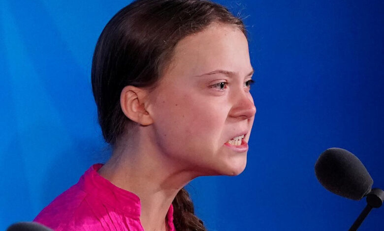 Greta Thunberg, Lahey'deki protesto sırasında gözaltına alındı