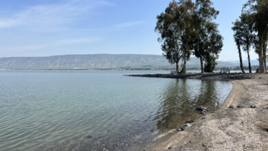 Kinneret plajları su seviyesinin oldukça yüksek olmasıyla Salı günü açılacak - İsrail Kültürü