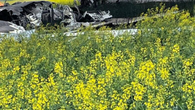 Rusya'da askeri uçak düştü, pilot hayatını kaybetti - FOTOĞRAF - VİDEO