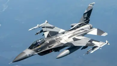 ABD'de F-16 uçağı düştü