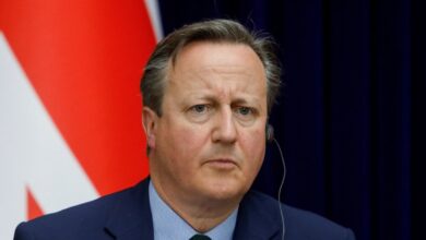 David Cameron: “Büyük Britanya, Gürcü halkını destekliyor”