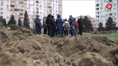 Milletvekili, statları kaçak satmakla suçlanıyor: "Dedesinin malı gibi devletin malını satıyor"