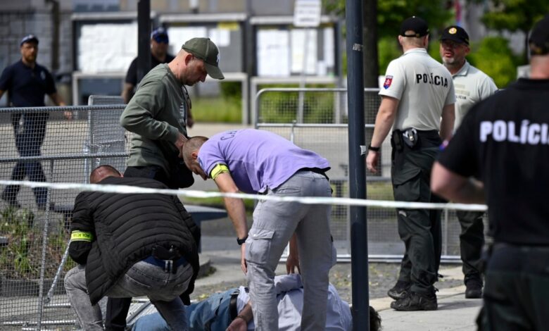 Slovakya'daki bir mahkeme, ülkenin başbakanı Robert Fico'yu vuran kişiyi gözaltına aldı.