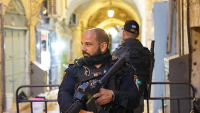 Eski Şehir'de bıçaklama saldırısını planlayan terörist polis tarafından tutuklandı - İsrail Haberleri