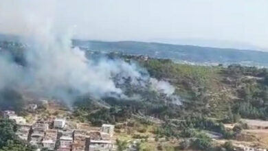 İzmir'de orman yangını çıktı