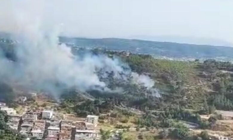 İzmir'de orman yangını çıktı