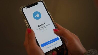 Telegram'da kötü amaçlı planlar ve hizmetlerle ilgili raporların hacmi 2024'te %53 arttı