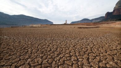 Sicilya'daki tek göl iklim değişikliği nedeniyle kuruyor